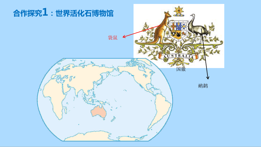 人教版地理七年级下册8.4澳大利亚课件(共31张PPT)