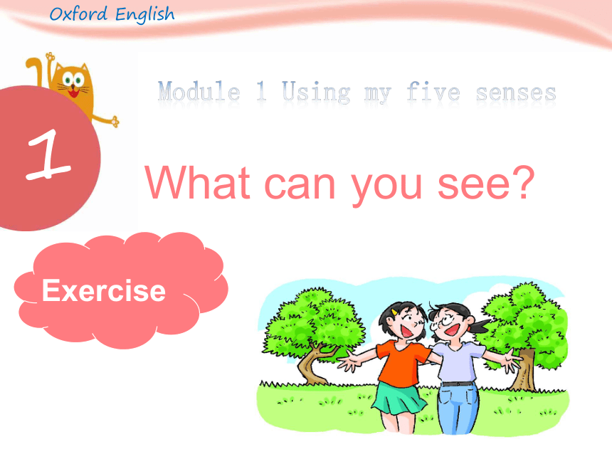 Module 1 Unit 1 What can you see ？ 课件(共13张PPT)