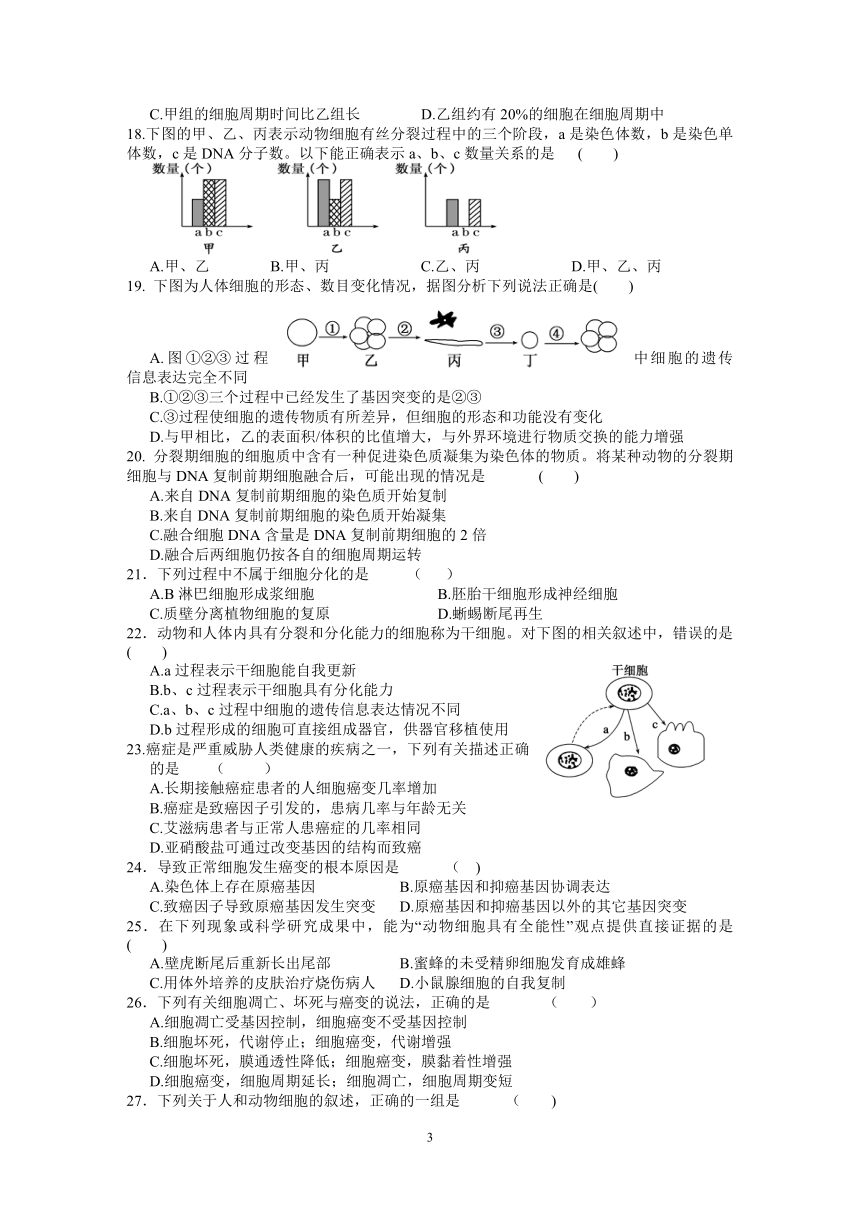 1.6.4细胞的生命历程单元测试卷（含答案）