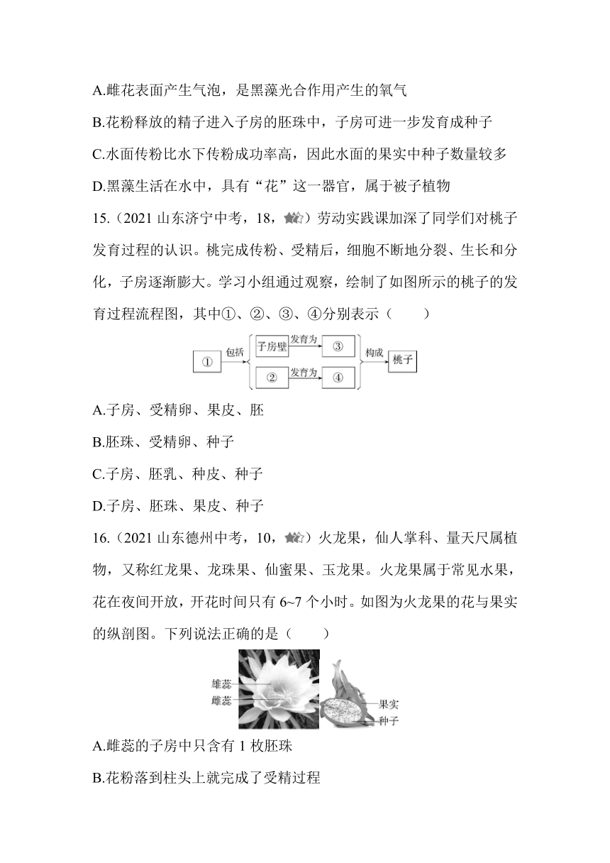北京版生物学八年级上册10.3.1花的结构及果实、种子的形成同步练习（含解析）