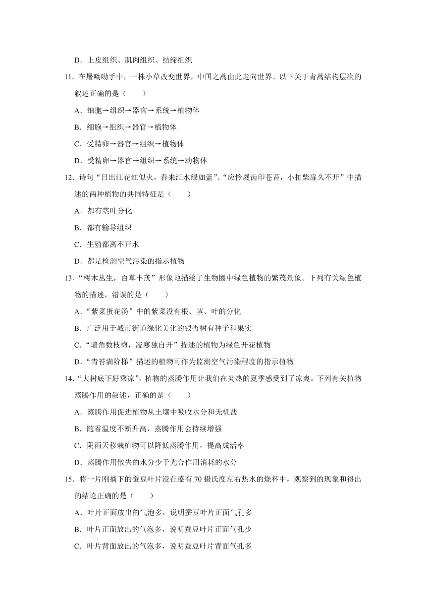 2021-2022学年山东省枣庄市山亭区七年级（上）期中生物试卷（word版含解析）