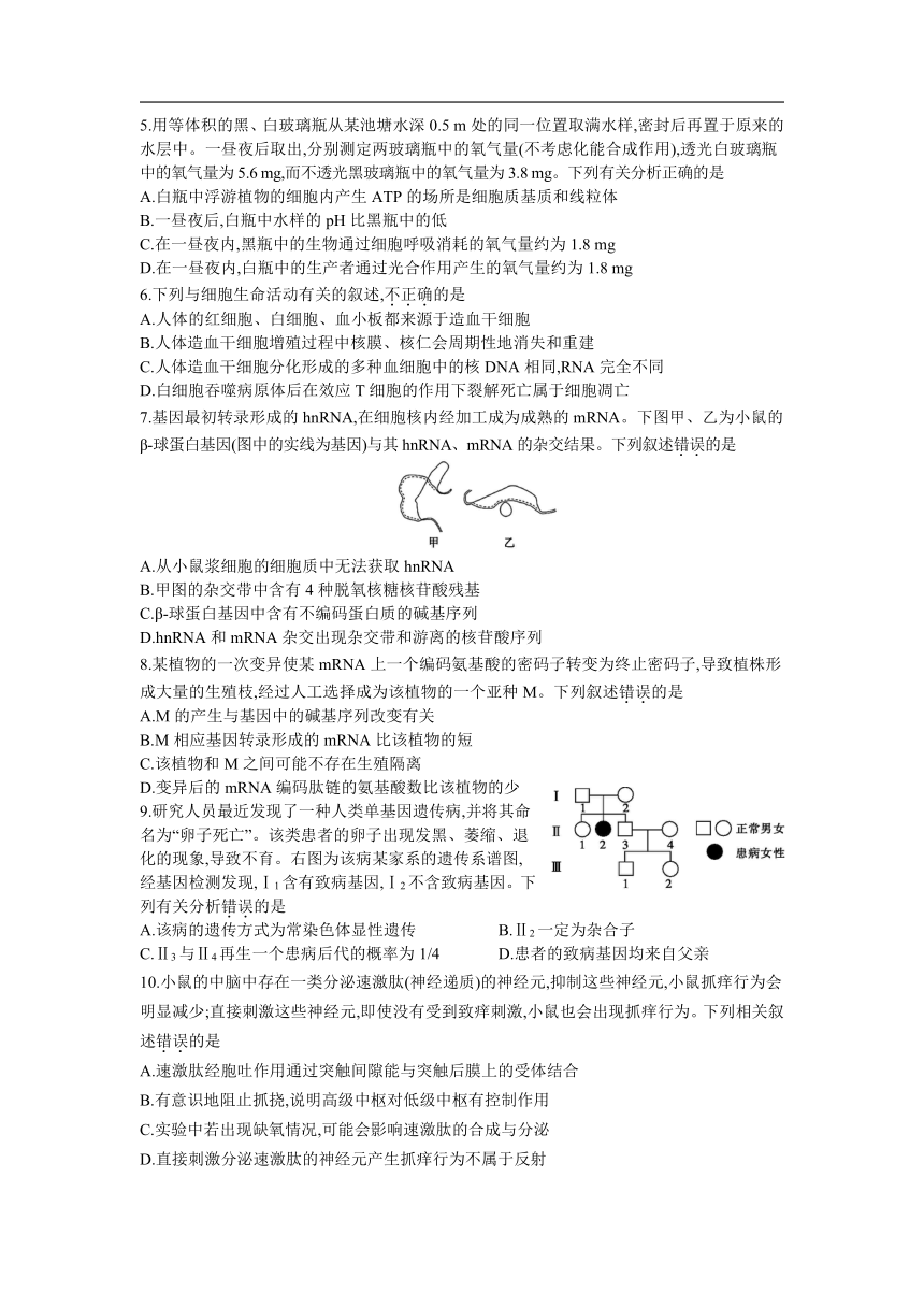 2021年普通高等学校招生全国（山东）统一考试生物模拟测试  （含解析）