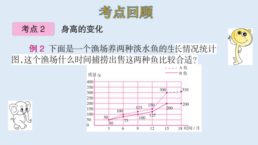 北师大版数学六年级上册五数据的处理  整理和复习 课件