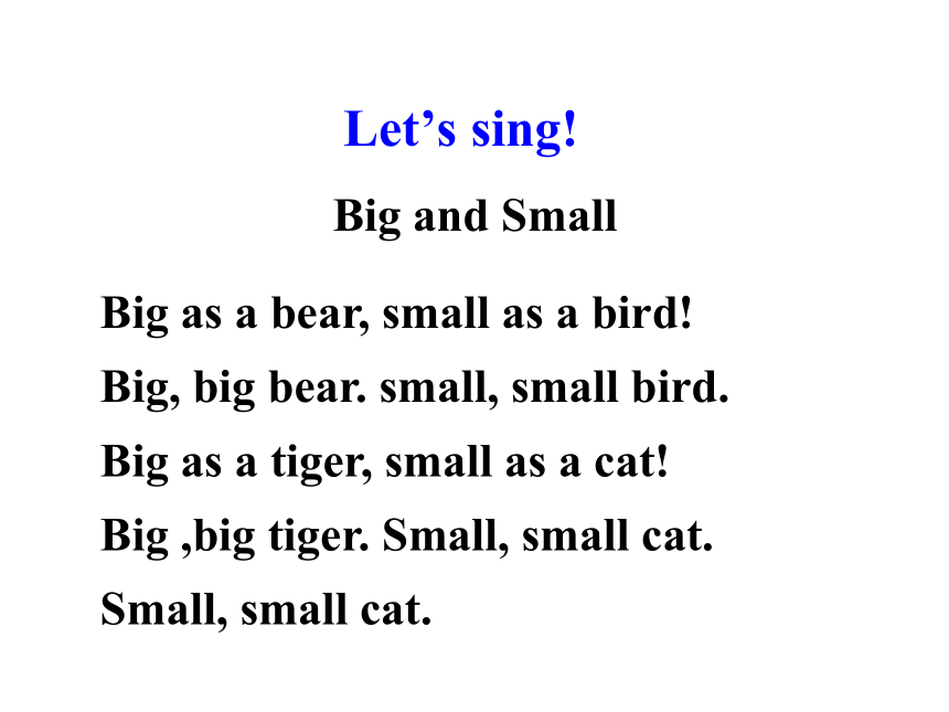 Unit 2 Animals at the Zoo  Lesson 8 Tigers and Bears课件 (共16张PPT)