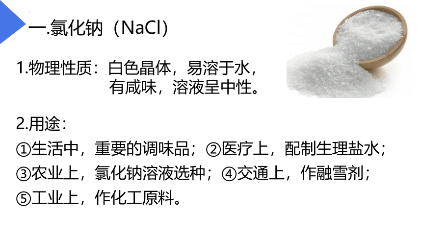 11.1生活中常见的盐课件(共34张PPT)---2022-2023学年九年级化学人教版下册