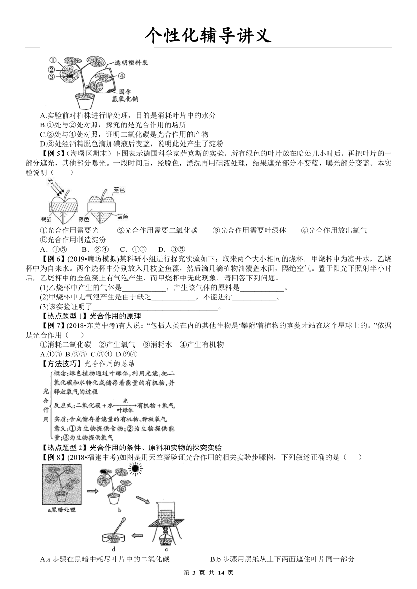 3.6.光合作用 专题复习讲义（学案 无答案）