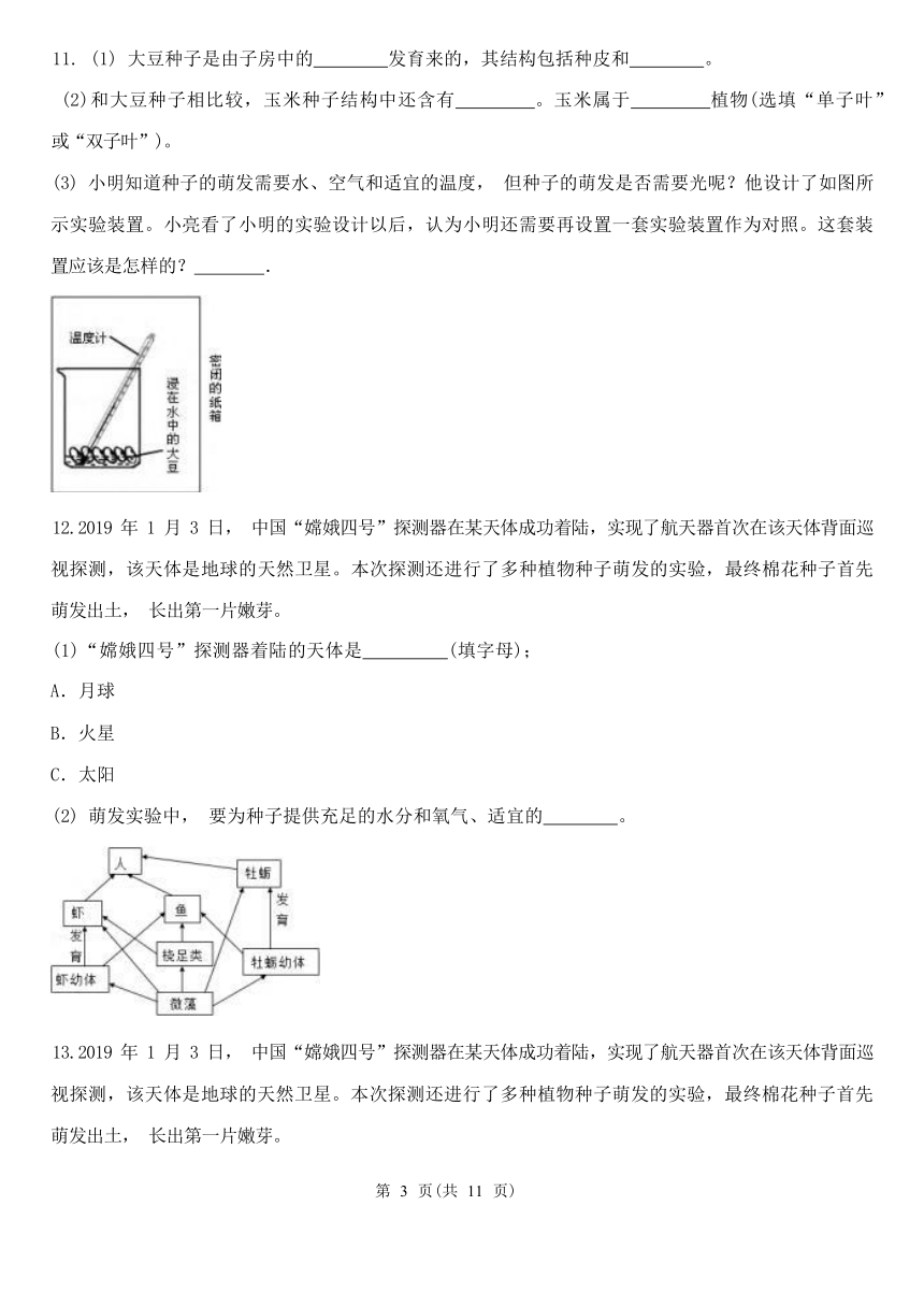 1.4 植物的一生 同步练习（含答案）