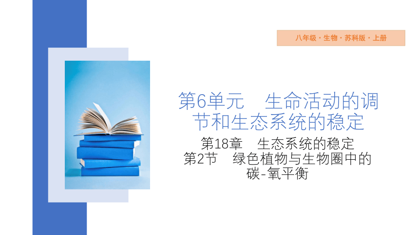 6.18.2 绿色植物与生物圈中的碳—氧平衡 课件(共28张PPT) 2023-2024学年苏科版生物八年级上册