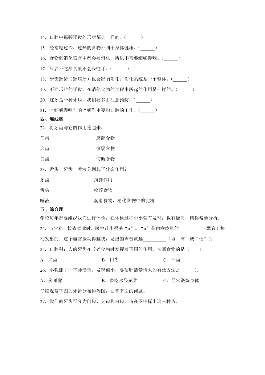 四年级科学上册2.7食物在口腔里的变化（教科版）同步练习含答案