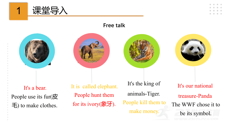 Module 6 Animals in danger. Unit 3 Language in use课件36张PPT