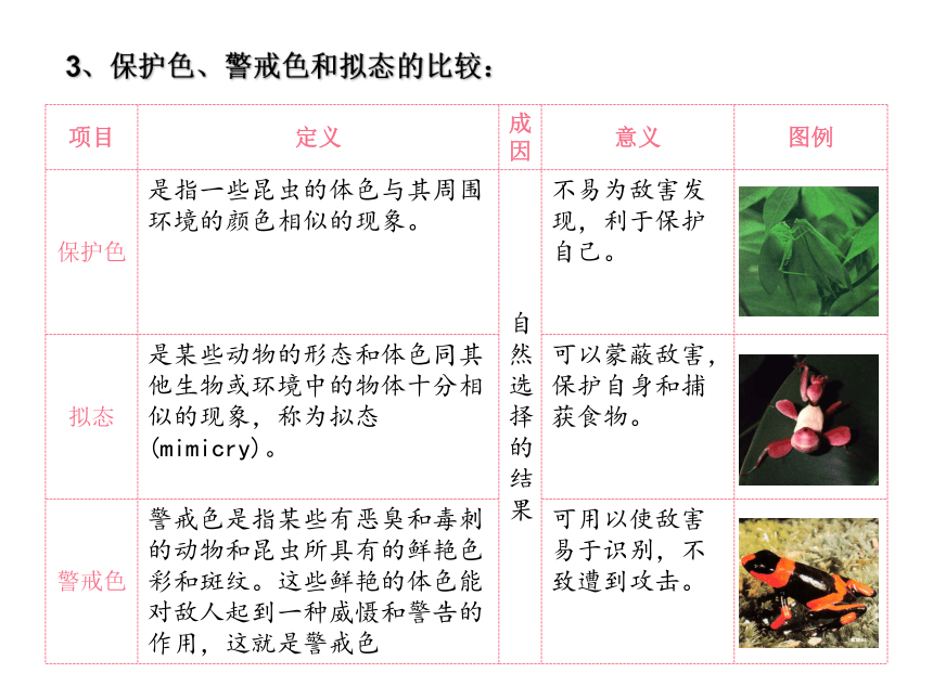 2020-2021学年济南版八年级生物下册6.1.2  生物对环境的适应与影响 课件(共22张PPT)