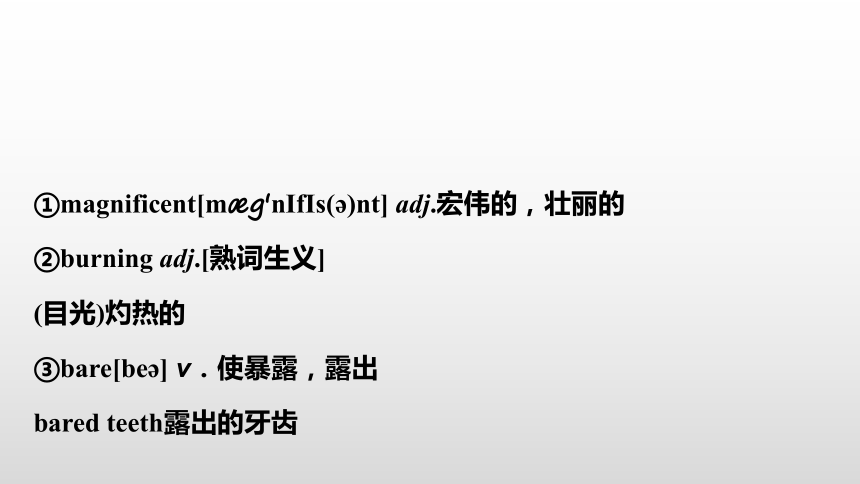 高中英语 外研版（2019）必修三 Unit 4 Period 4  课件