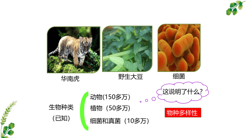 2021-2022学年苏教版八年级生物上册5.15.1生物多样性 课件(共16张PPT)