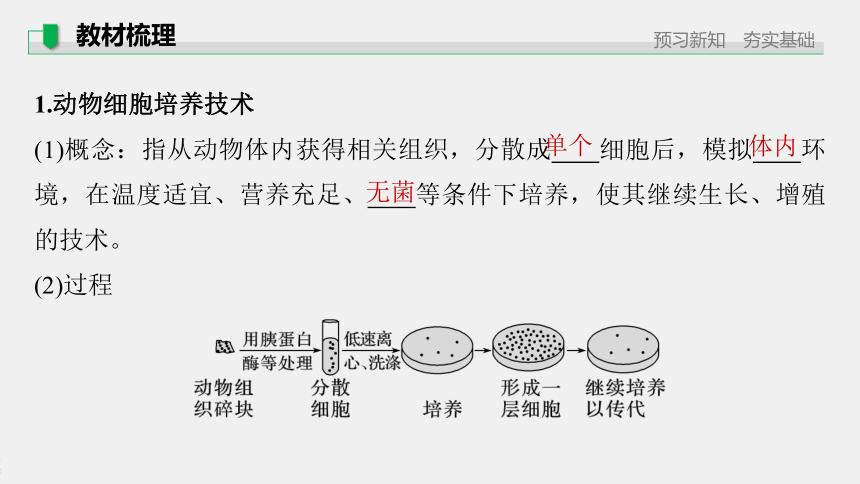 高中生物苏教版（2019）选择性必修3 生物技术与工程 第二章 第三节　第2课时　动物细胞培养技术及其应用（60张PPT）