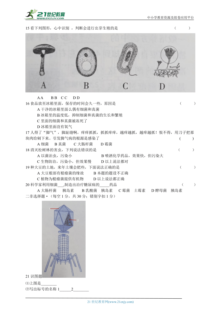 人教版生物八年级上册 第四、五章检测题（含答案）