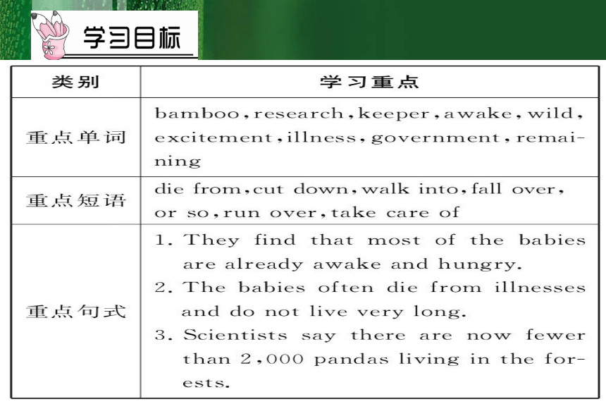 八下 Unit 7 What's the highest mountain in the world? Section B 2a-2c(共11张PPT)