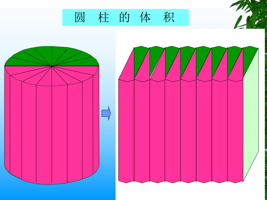 人教版（五四制） 数学六上 5.1 圆柱 课件 （共18张ppt）