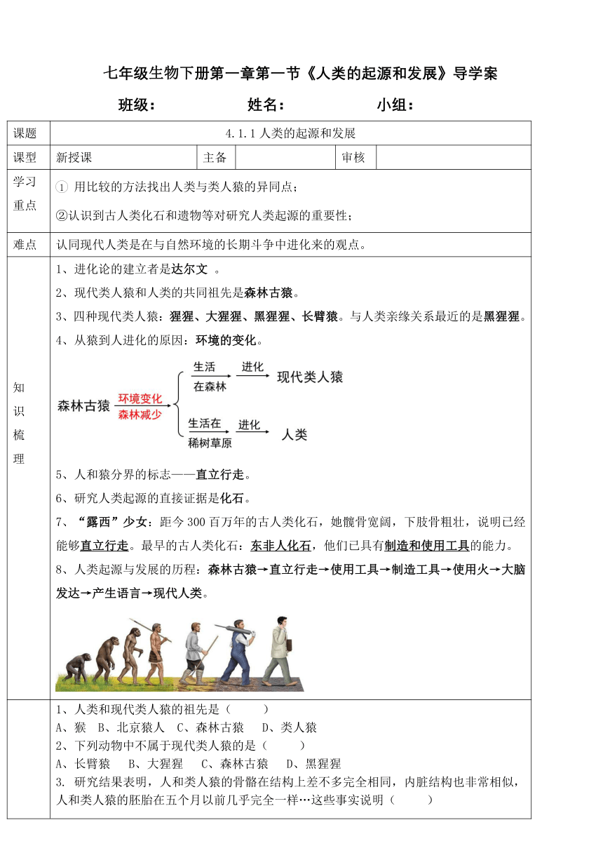 1.1人类的起源和发展导学案（无答案） 2022--2023学年人教版生物七年级下册