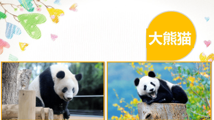 2.1熊猫欢欢自画像 课件(共12张PPT)三年级下册信息技术川教版