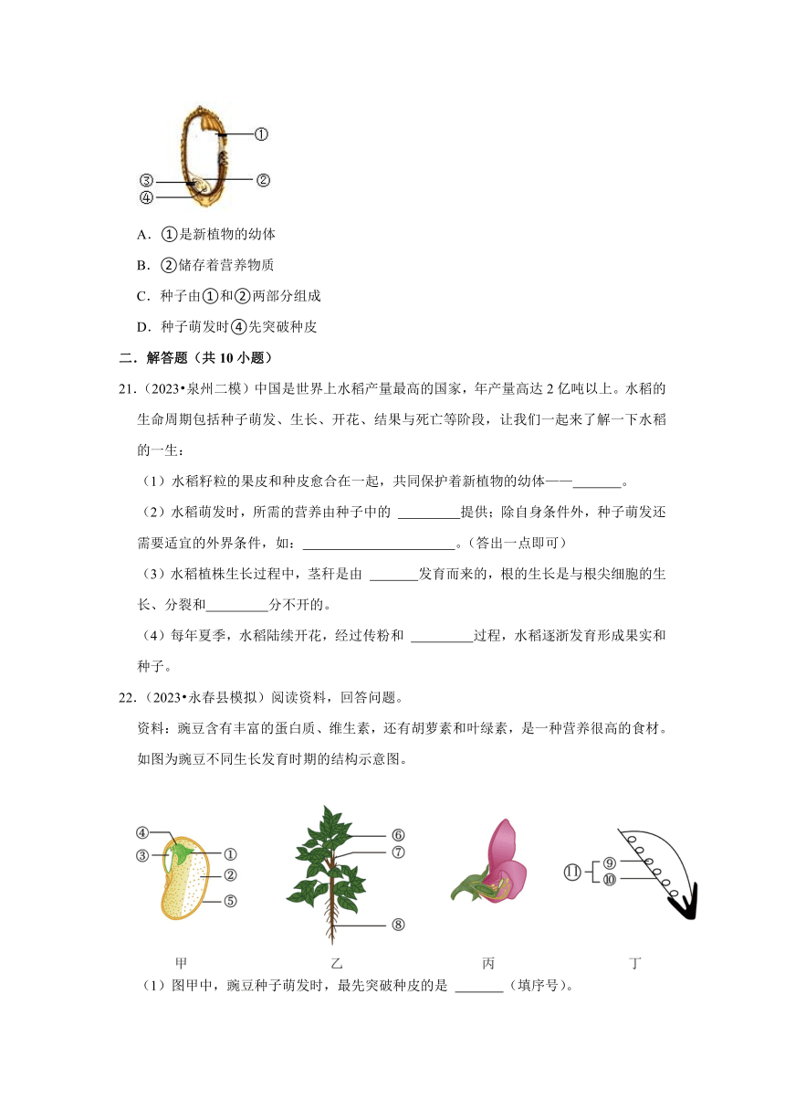 中考专题训练——3绿色植物——2023年福建省中考生物（含解析）