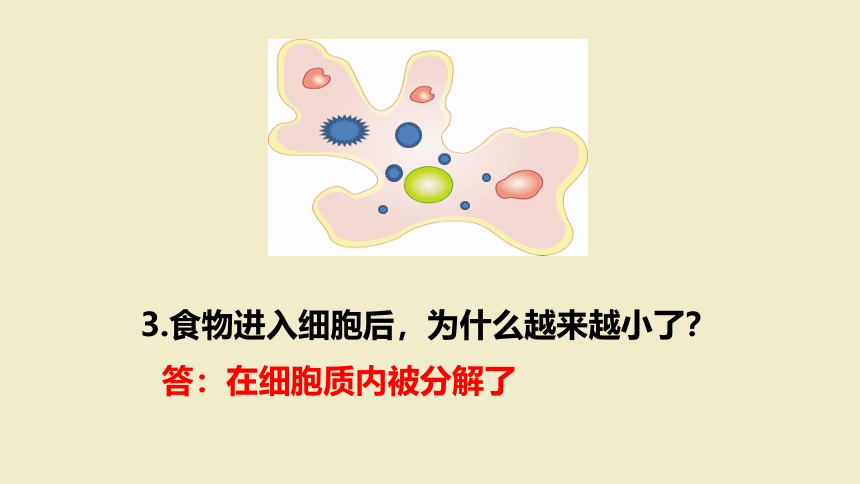 第2节 细胞是生命活动的单位 课件（28张PPT）