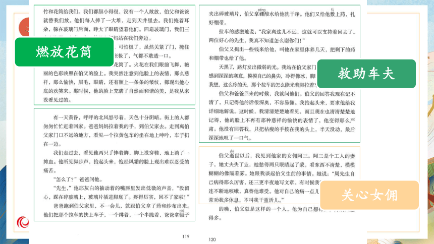 【课件PPT】小学语文六年级上册—课文27 我的伯父鲁迅先生