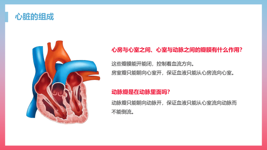 第三节 输送血液的泵──心脏 课件（23张PPT）