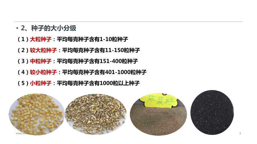 1.2.1蔬菜种子的识别 课件(共34张PPT)-《蔬菜生产技术》同步教学（中国农业出版社）