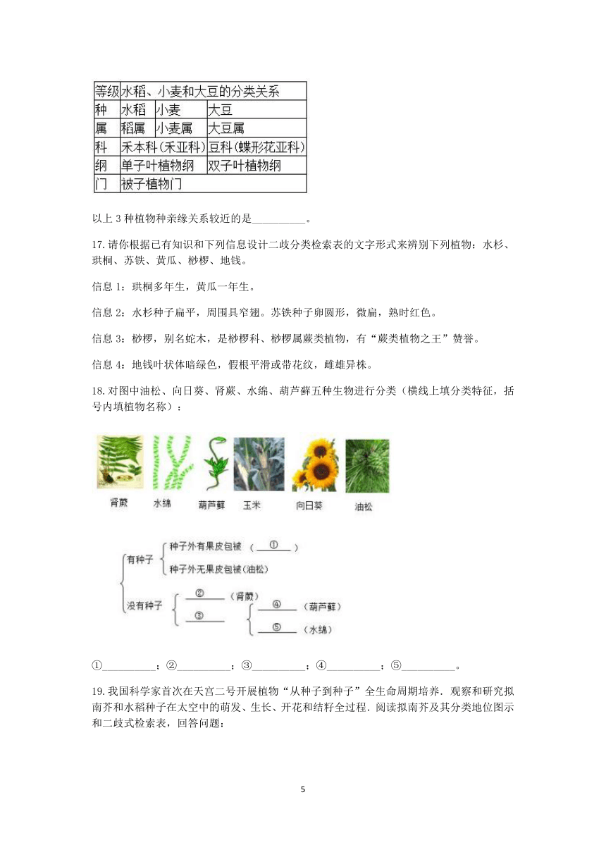 浙教版2022-2023学年上学期七年级科学“期中冲刺”核心考点训练（九）：常见的植物【word，含答案】