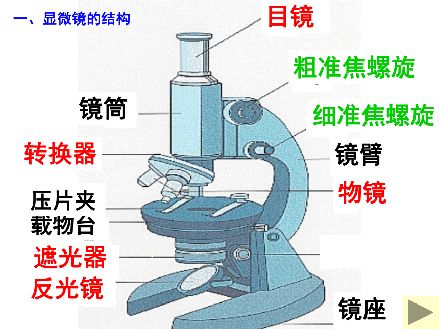 人教版高一生物必修1课件：第一章 显微镜的使用课件（共 51张PPT）