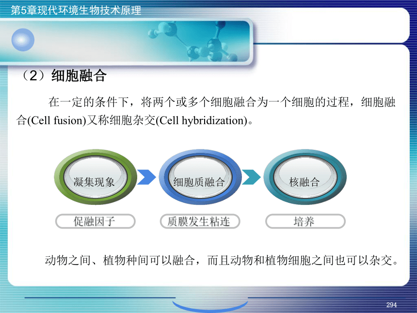 5.现代环境生物技术原理_11 课件(共29张PPT)- 《环境生物化学》同步教学（机工版·2020）