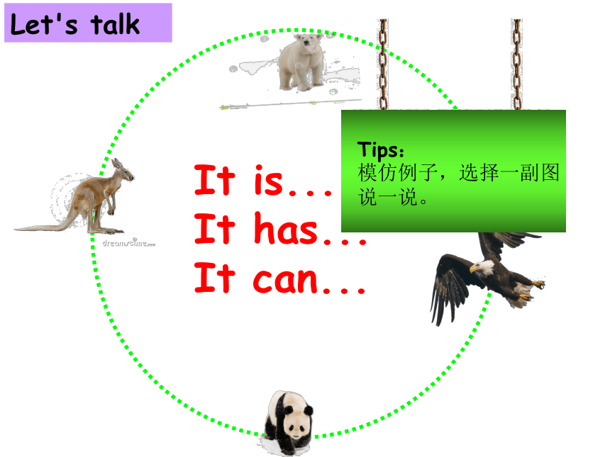 Unit 3 Our animal friends（Sound time Culture time-Cartoon time）课件（共36张PPT）