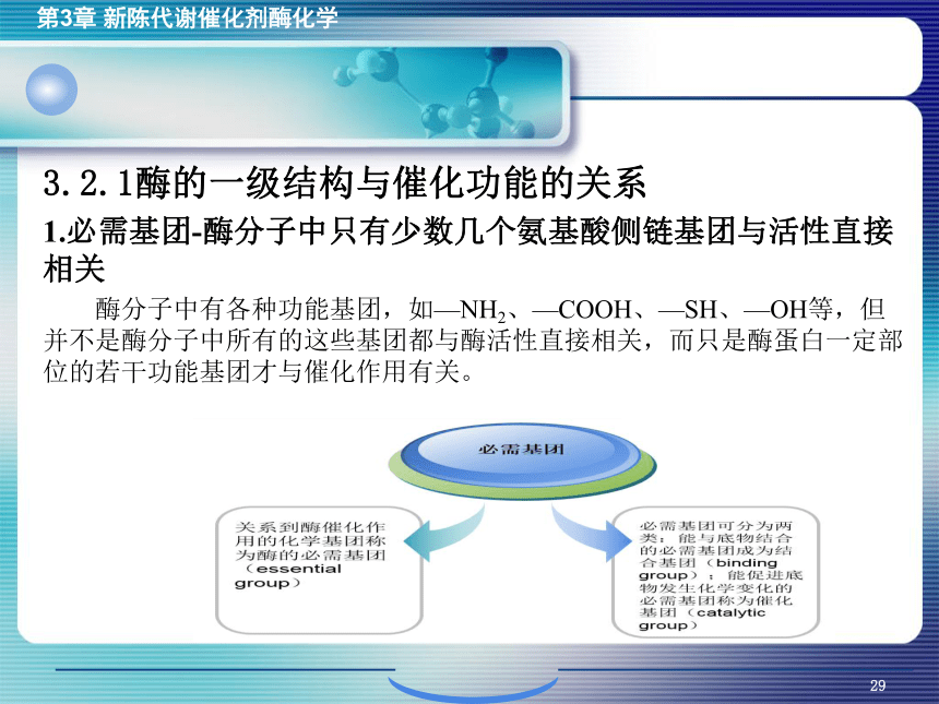 3.2酶的化学本质及结构功能特点 课件(共14张PPT)- 《环境生物化学》同步教学（机工版·2020）