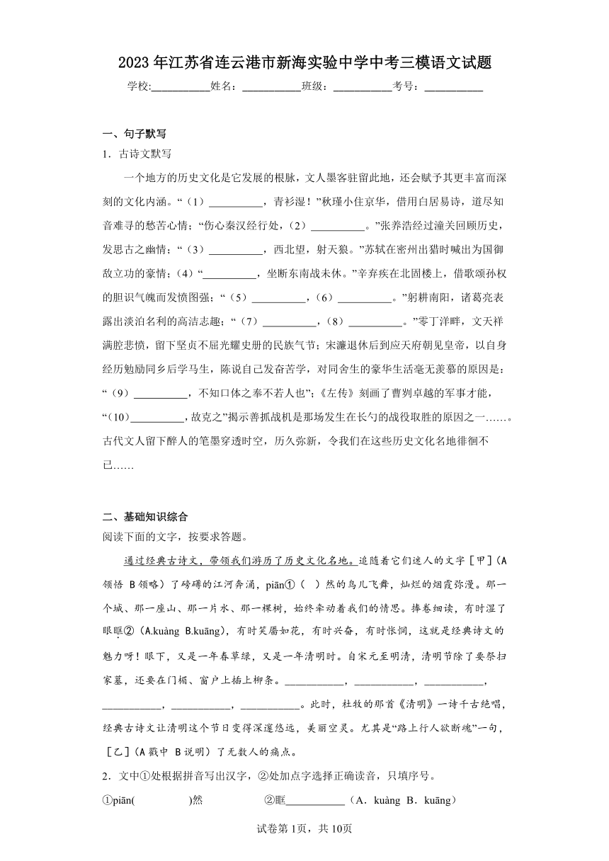 2023年江苏省连云港市新海实验中学中考三模语文试题（含解析）