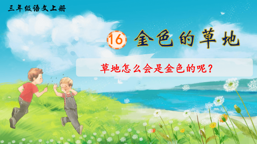 16 金色的草地第一课时（课件）(共26张PPT)