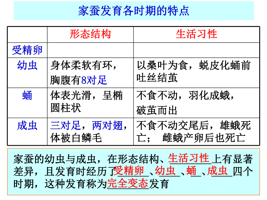 北师大版 八年级上册 19.2 动物的生殖和发育课件(共19张PPT)