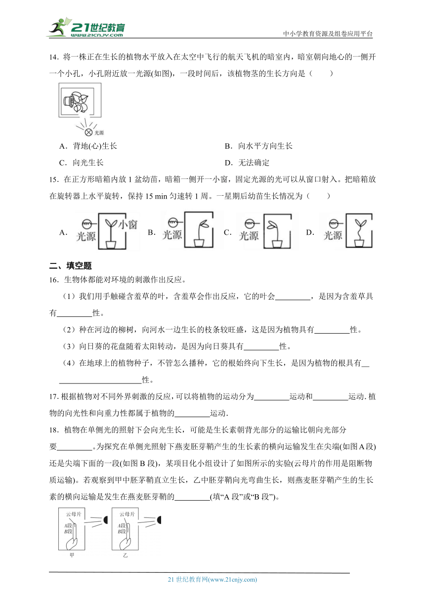 华师大版科学 八下 7.5植物生命活动的调节 课时训练（含答案）