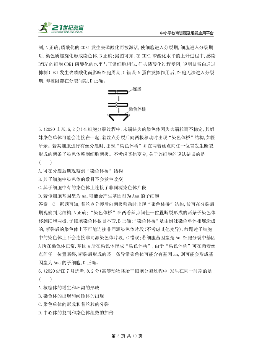 新人教一轮复习-10年真题分类训练：专题7 细胞增殖（Word版含解析）