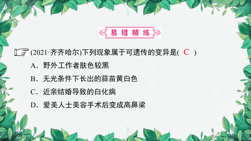 2023年中考生物复习 课题五 遗传变异与遗传病课件(共31张PPT)