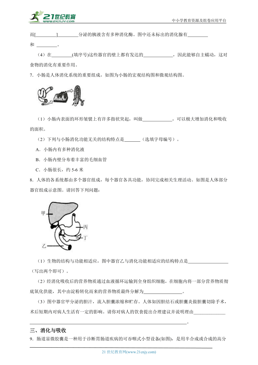 浙教版九上第四章专题二十一、4.1-4.2七大营养与消化吸收（含解析）