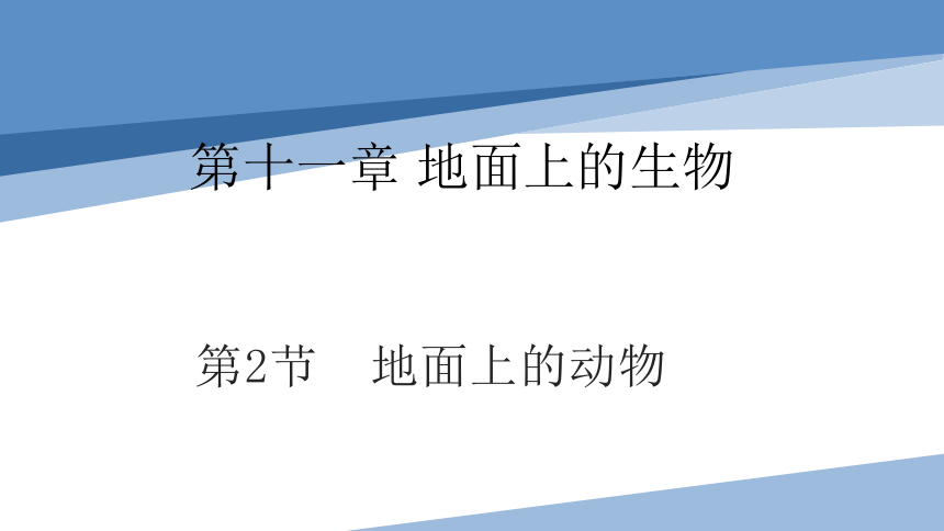 11.2 地面上的动物 七年级生物下册课件(共18张PPT)