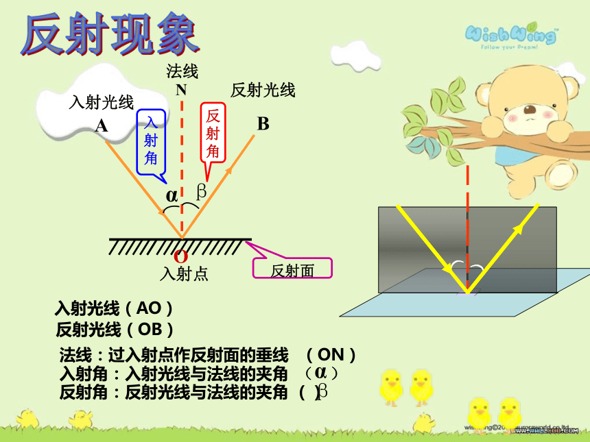 沪粤版初中物理八年级上册3.2光的反射课件(共25张PPT)