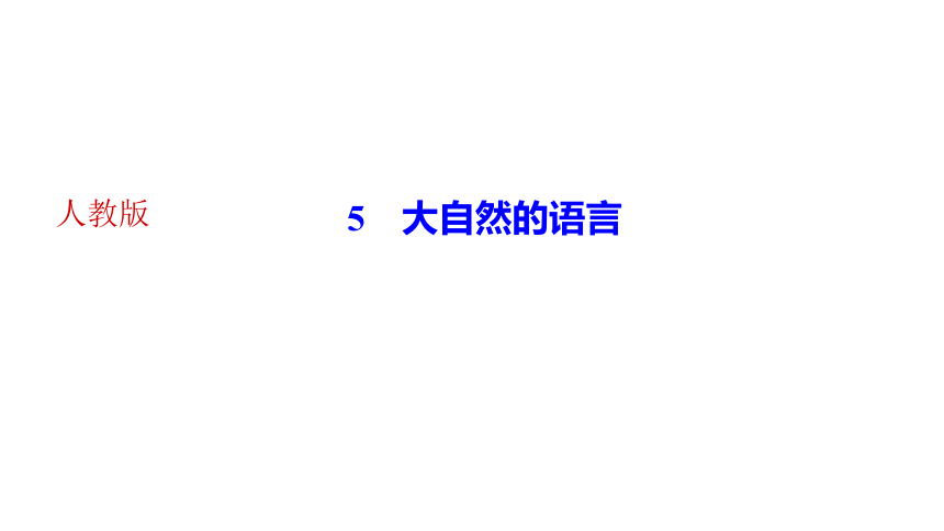5大自然的语言 讲练课件—四川省2020-2021学年八年级下册语文部编版（34张PPT）