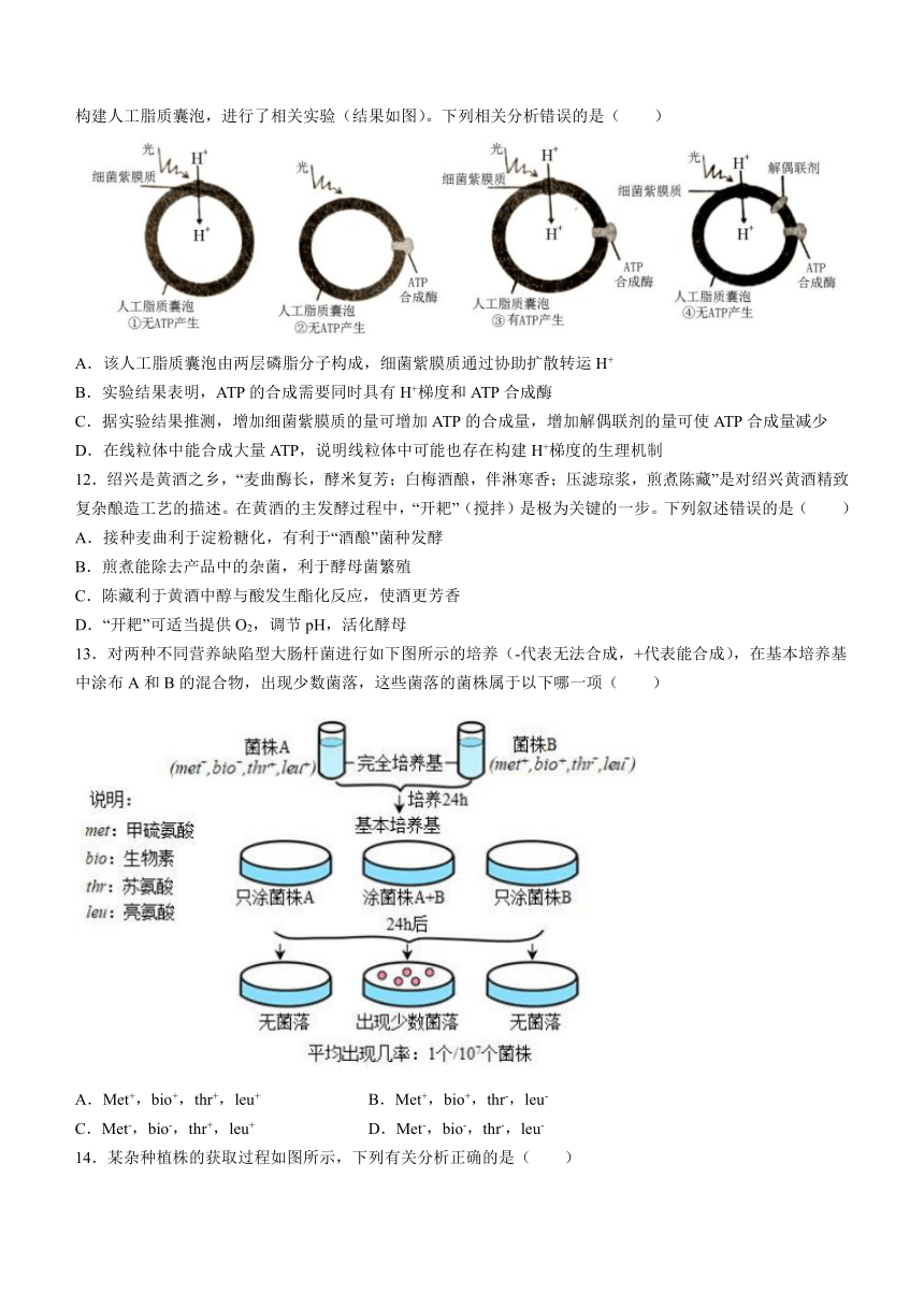 山东省济宁市名校2022-2023学年高二下学期期中考试生物学试题（Word版不含答案）