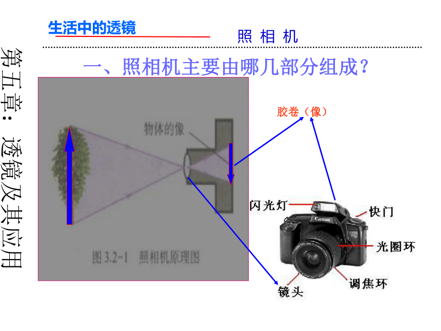 人教版八年级物理 第五章第二节生活中的透镜课件（33张pptppt）