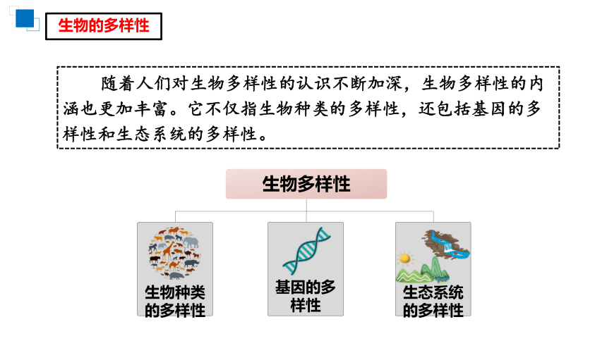 6.2   认识生物的多样性  课件(共21张PPT)  2021-2022学年人教版生物学八年级上册