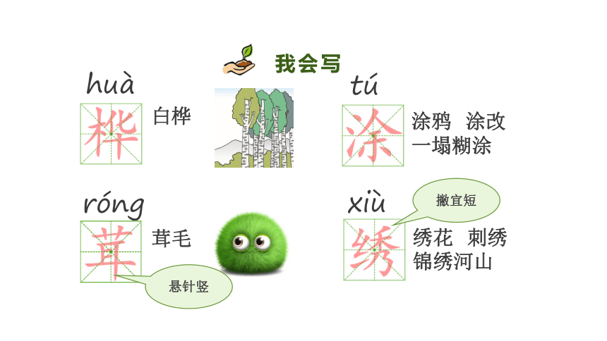 11.白桦   课件（34张PPT)