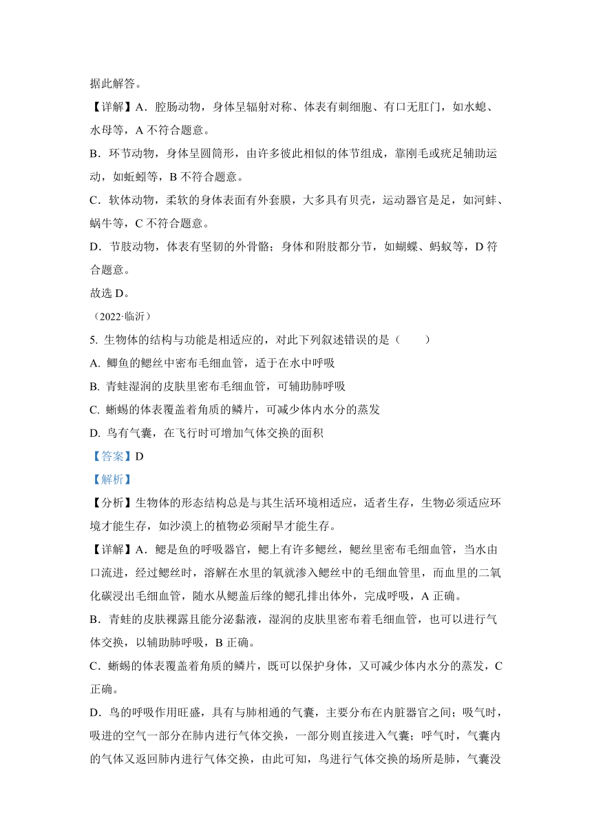 专题09 植物、动物和微生物类群（答案和试题未分开）2022年中考生物真题 （全国通用）