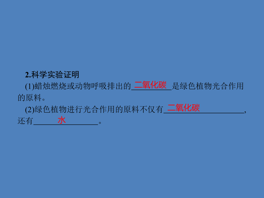 七年级上册生物 第3单元第5章　第1节　光合作用吸收二氧化碳释放氧气 习题课件(共13张PPT)