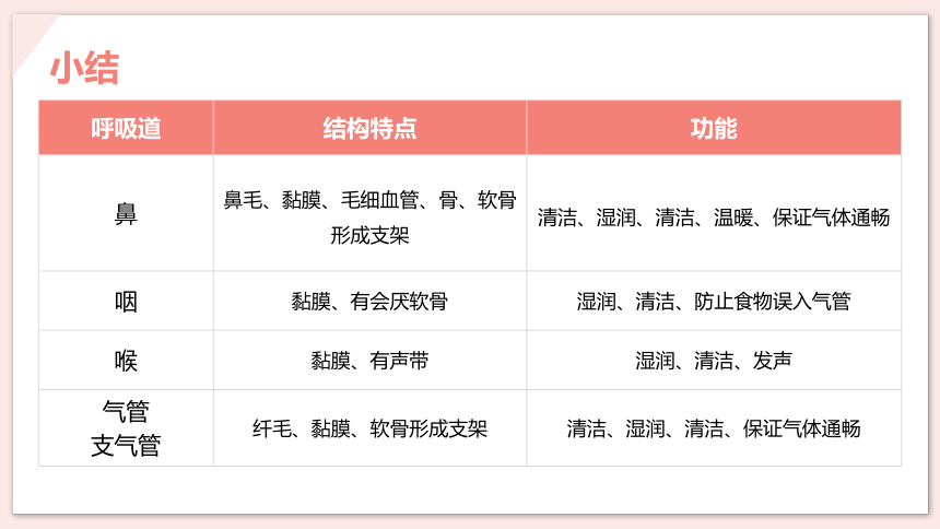 第一节 呼吸道对空气的处理 课件（20张PPT）